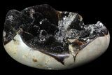 Polished Septarian Geode - Black Crystals #89566-3
